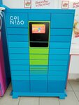 CaiNiao (ulitsa Vatutina, 3/1), parcel automat