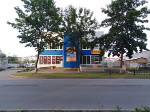 Qozoq qiziga erkalash