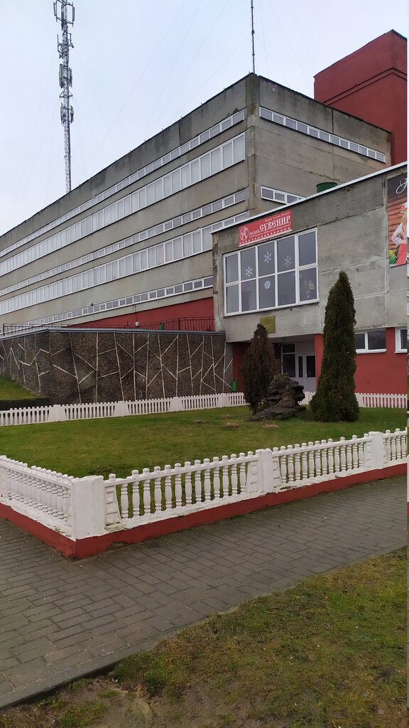 Industrial enterprise Slonimskaya fabrica Khudozhestvennykh Izdely Urpp, Slonim, photo