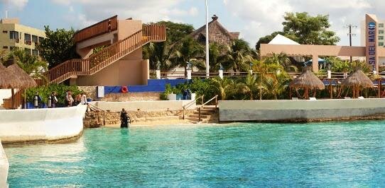 Гостиница Casa del Mar Cozumel Hotel & Dive Resort