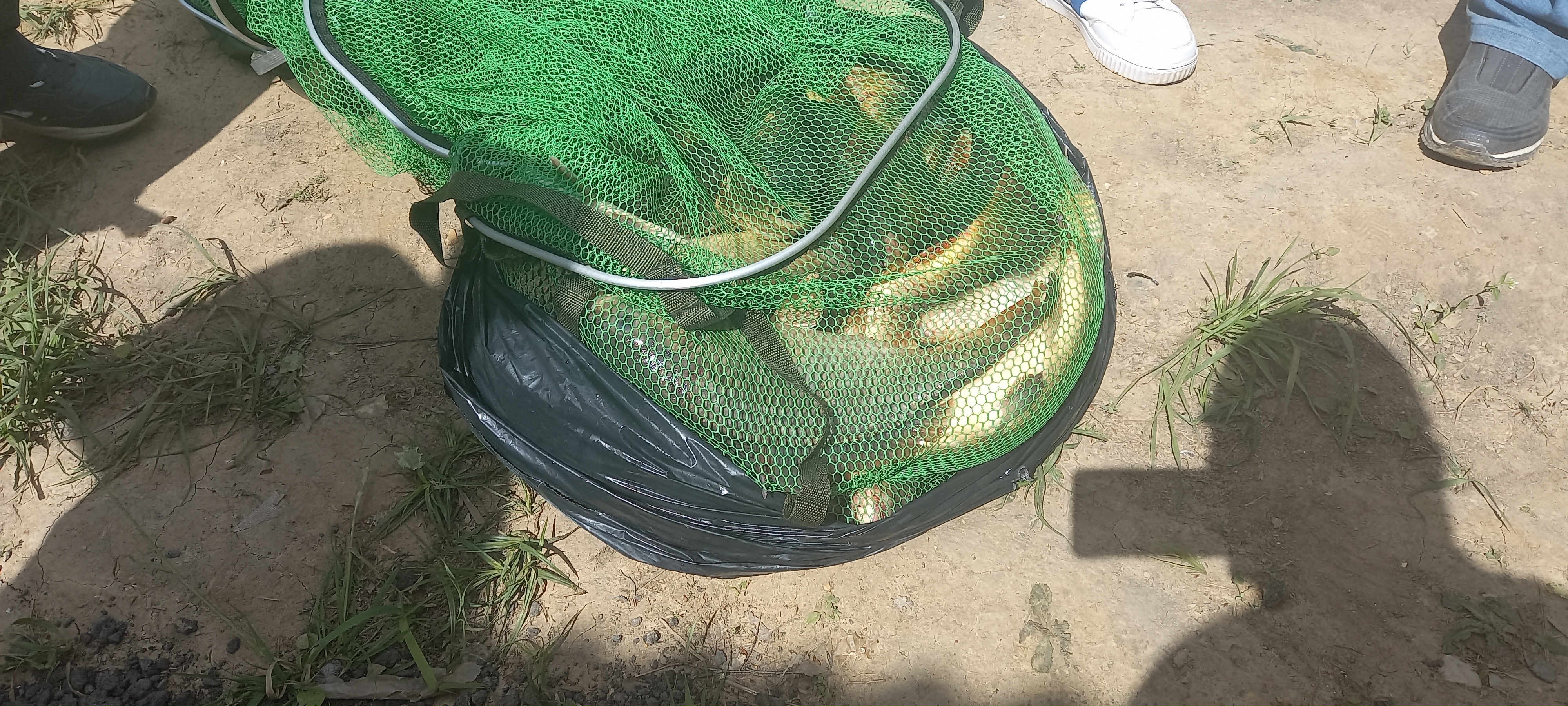 Фото Место клёва