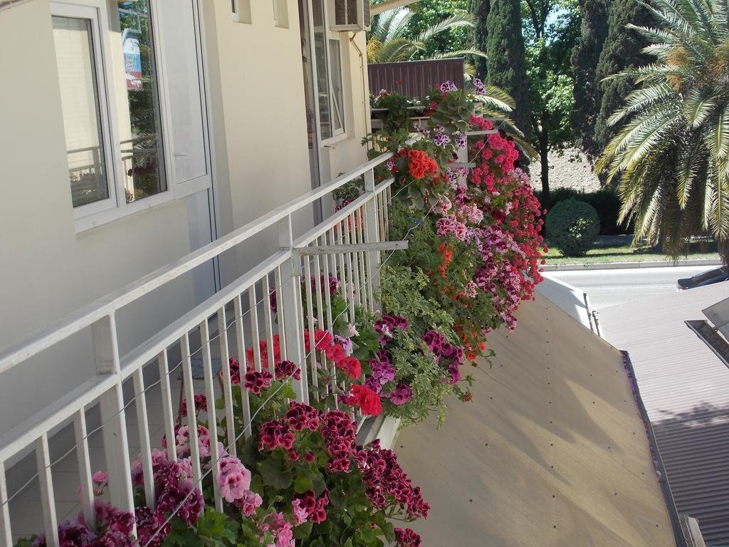 Фото Анжелика