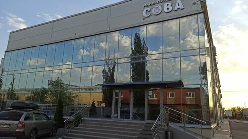 Сова