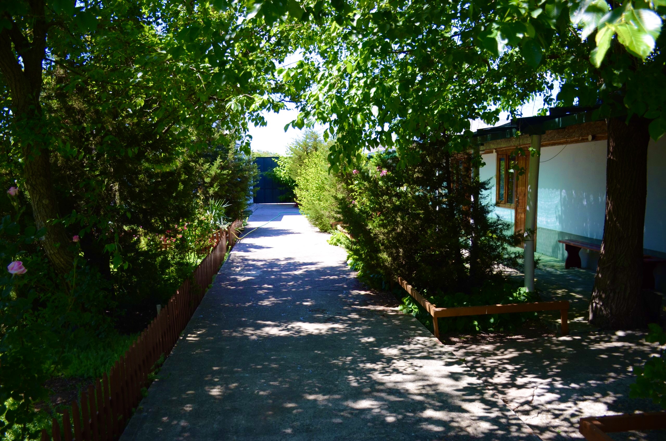 Фото Усадьба Афалина