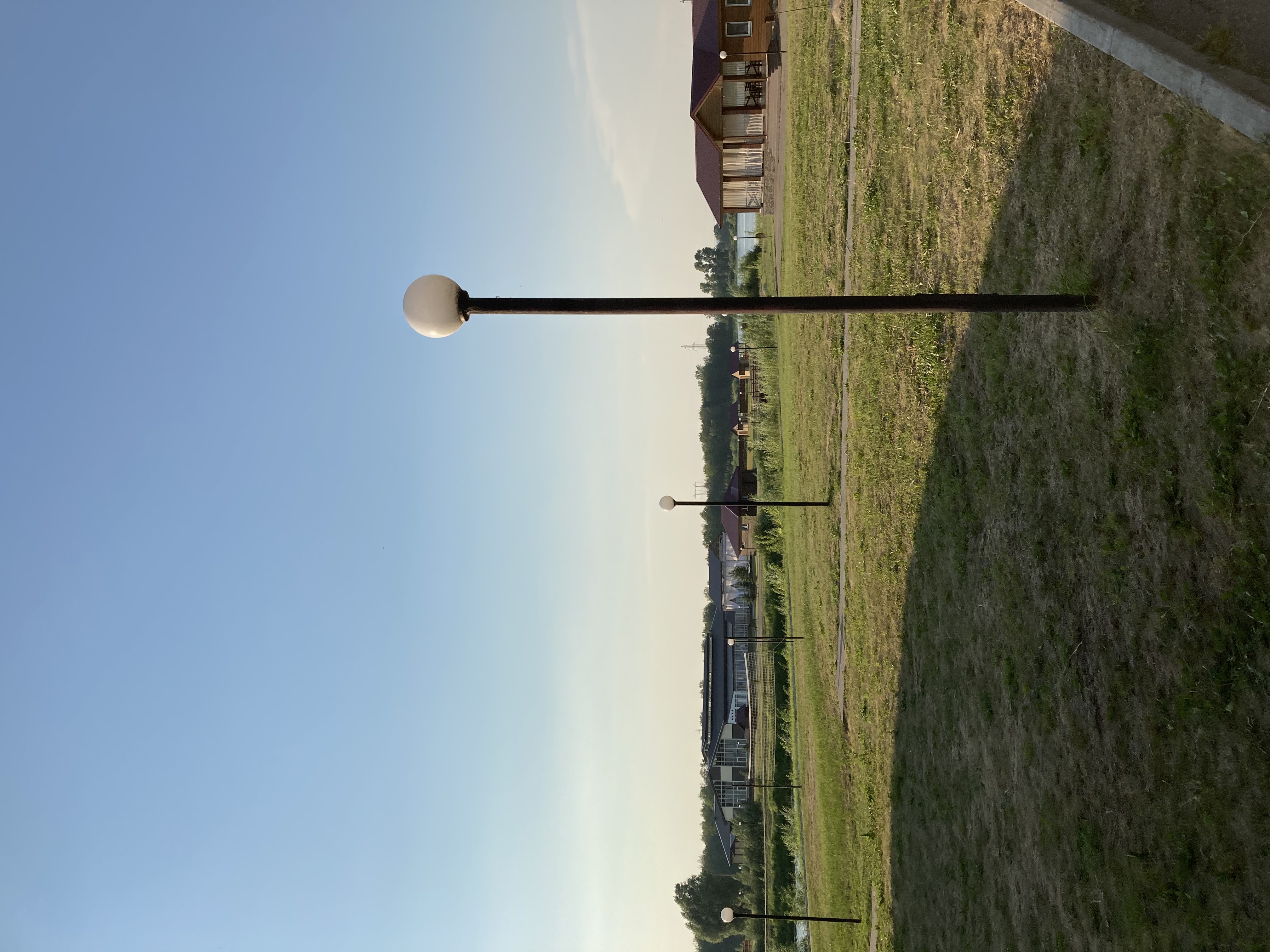 Фото Лесной