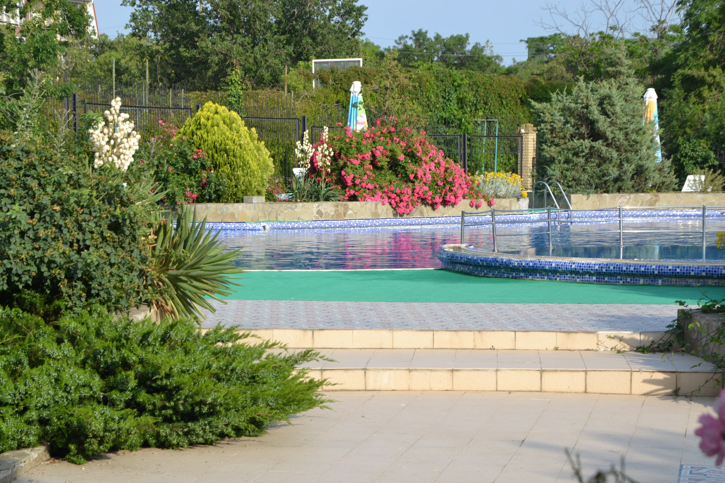 Фото Колыбель Коктебеля