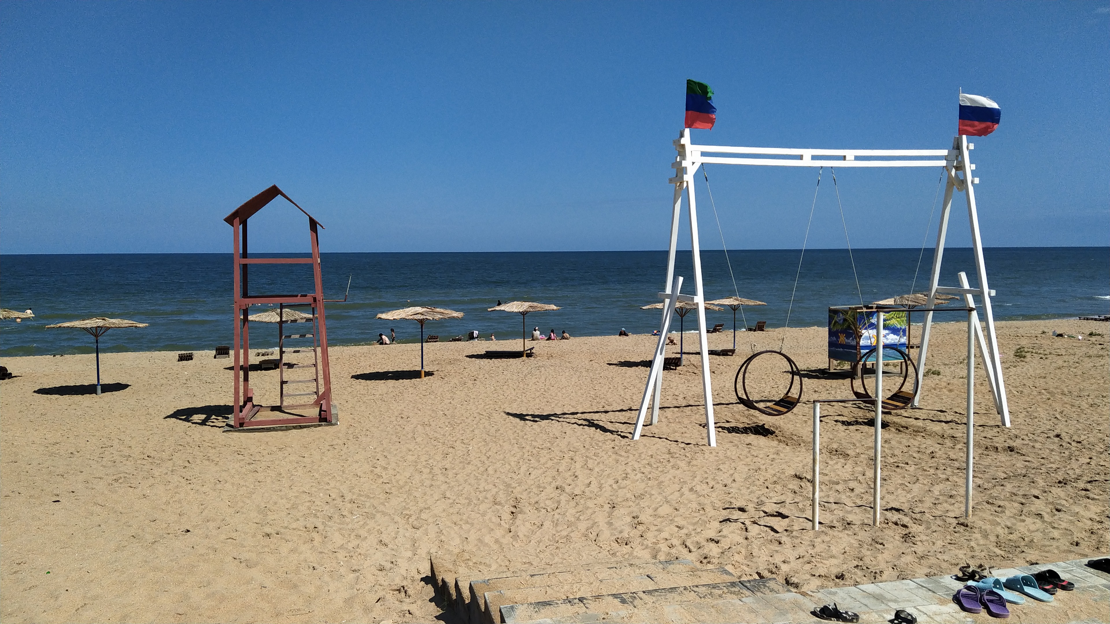 Фото Чемпион