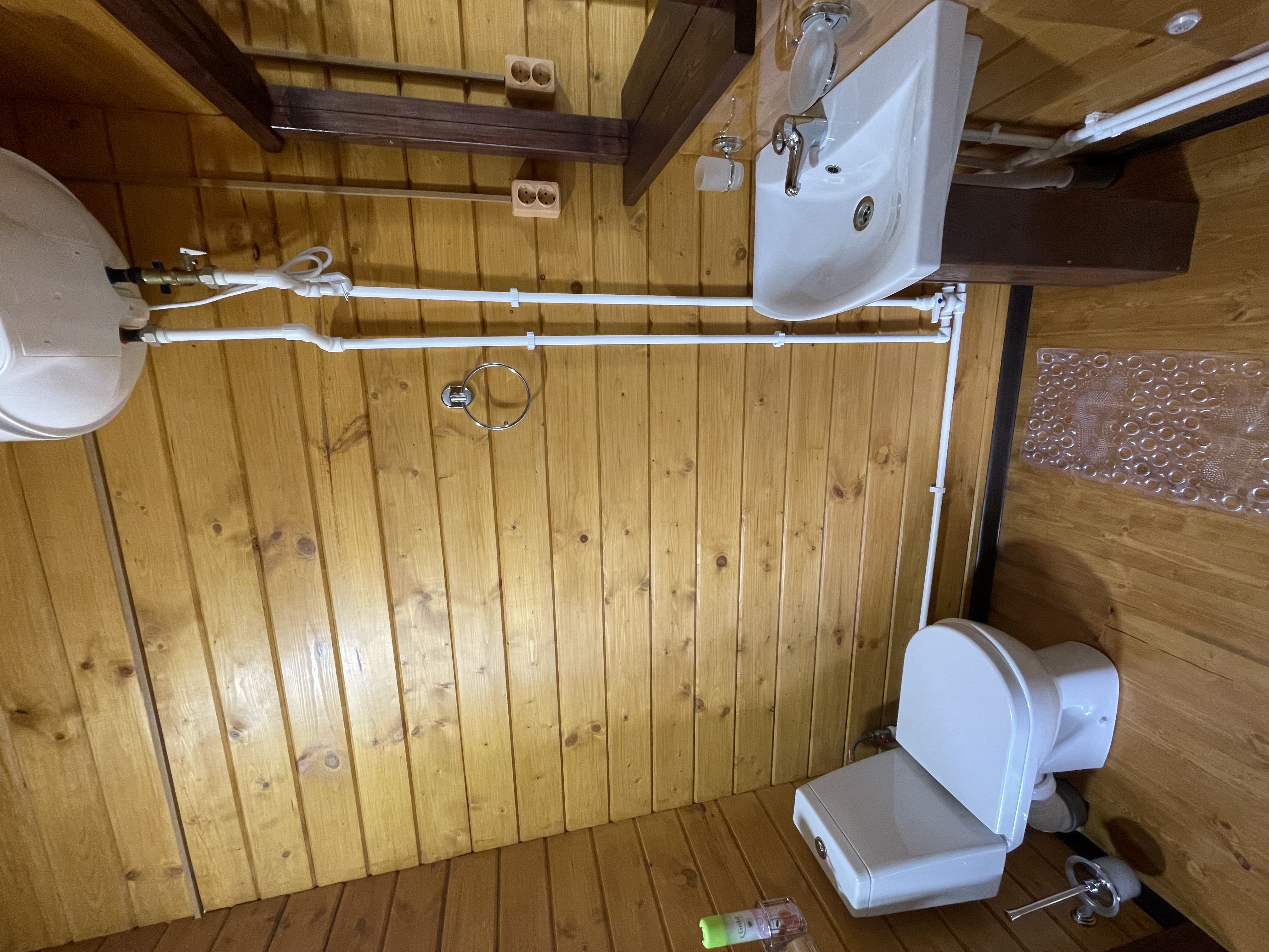 Фото Кактус