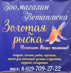 Золотая рыбка (garadski pasiolak Sharkawshchyna, vulica Halajeva, 2) ، متجر للحيوانات الأليفة