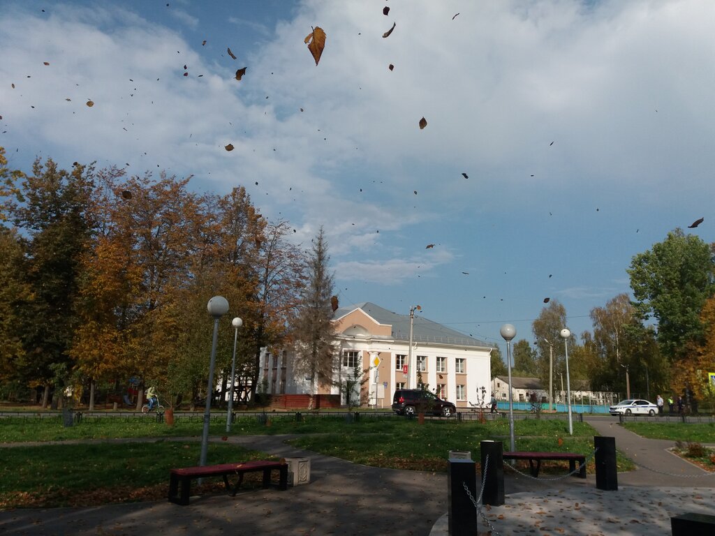 Дом культуры Тёсово-Нетыльский Дом культуры, Новгородская область, фото