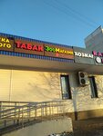 Bagira (Moscow, Dubninskaya Street, 50), pet shop