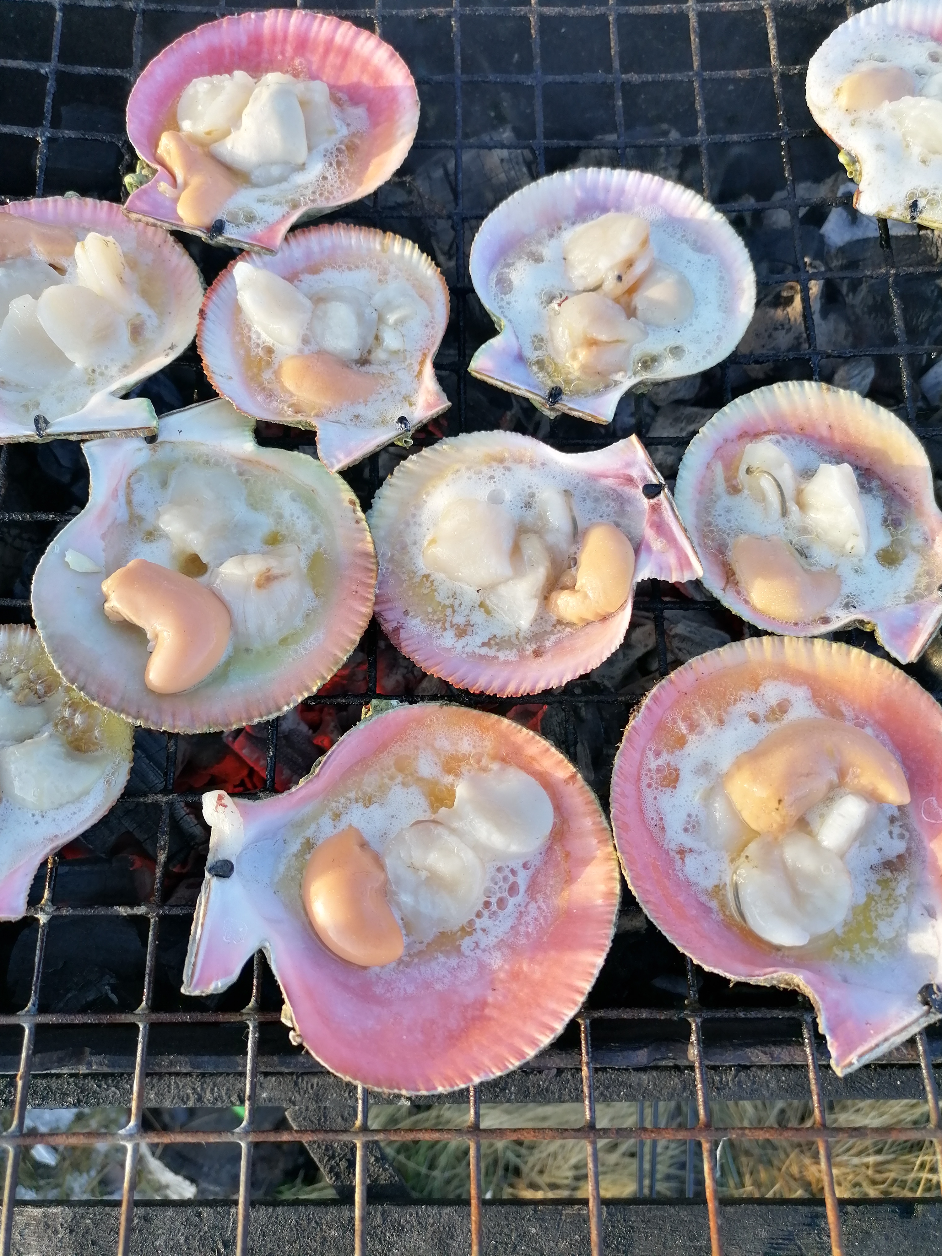 Фото Гольфстрим