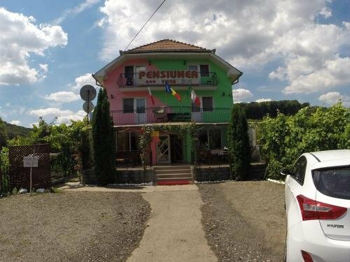 Гостиница Pensiunea Vidra