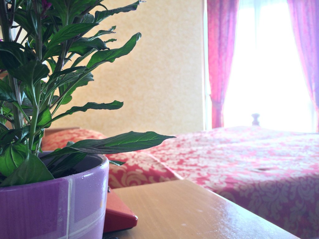 Фото Park Hotel Terme