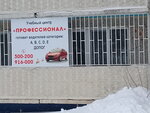 Профессионал (ulitsa Dzhangildina, 14), driving school