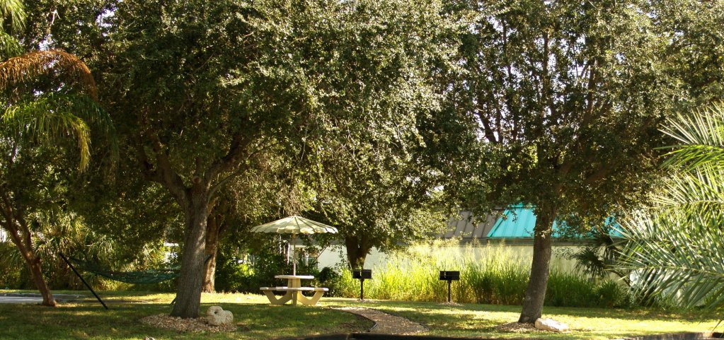 Фото At Home Inn