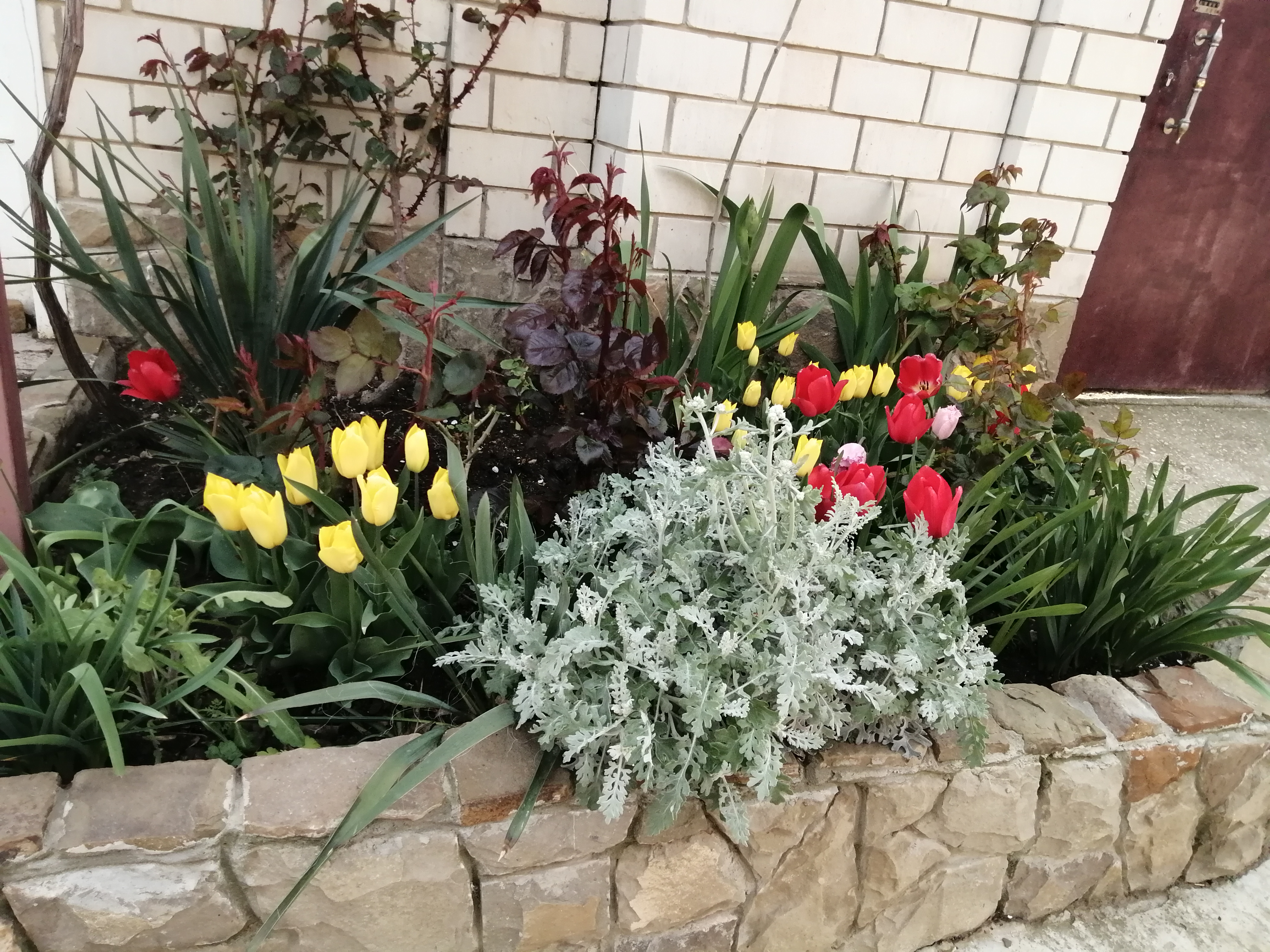 Фото Идиллия