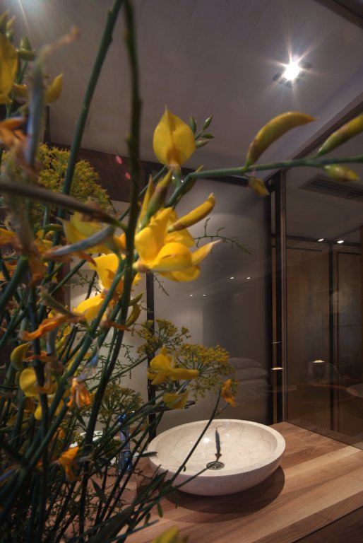 Фото Hippocampus