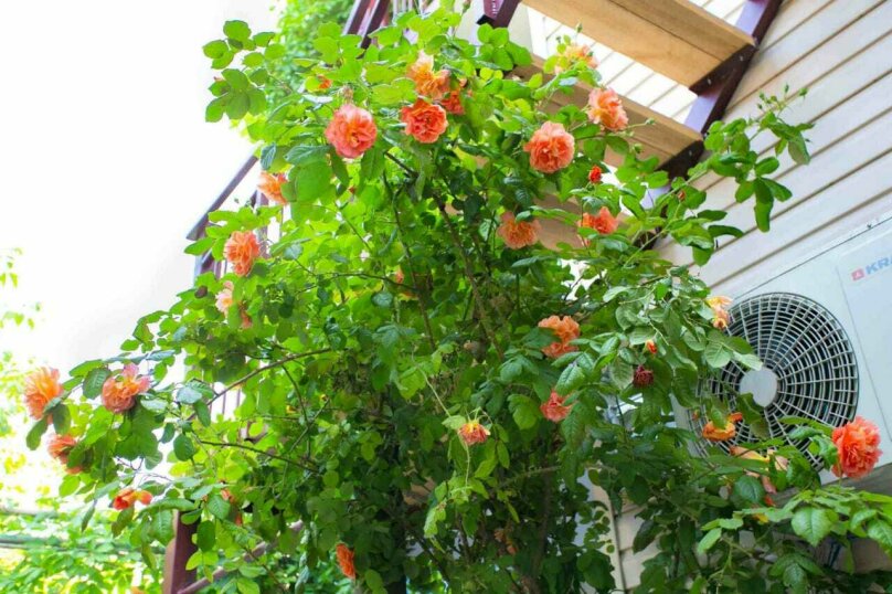 Фото Санто Марино