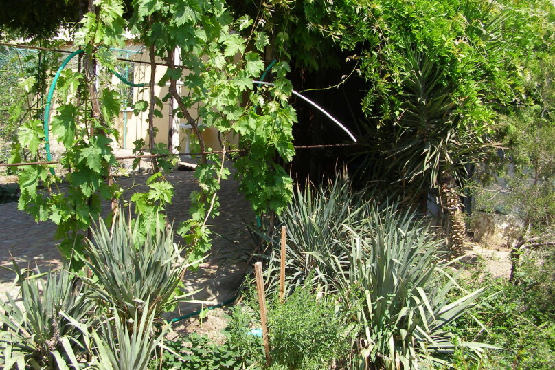 Фото Долина солнца