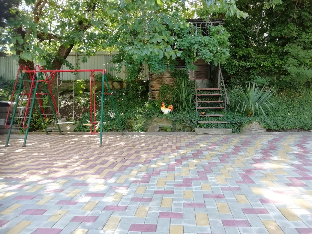 Фото Черноморская лоза