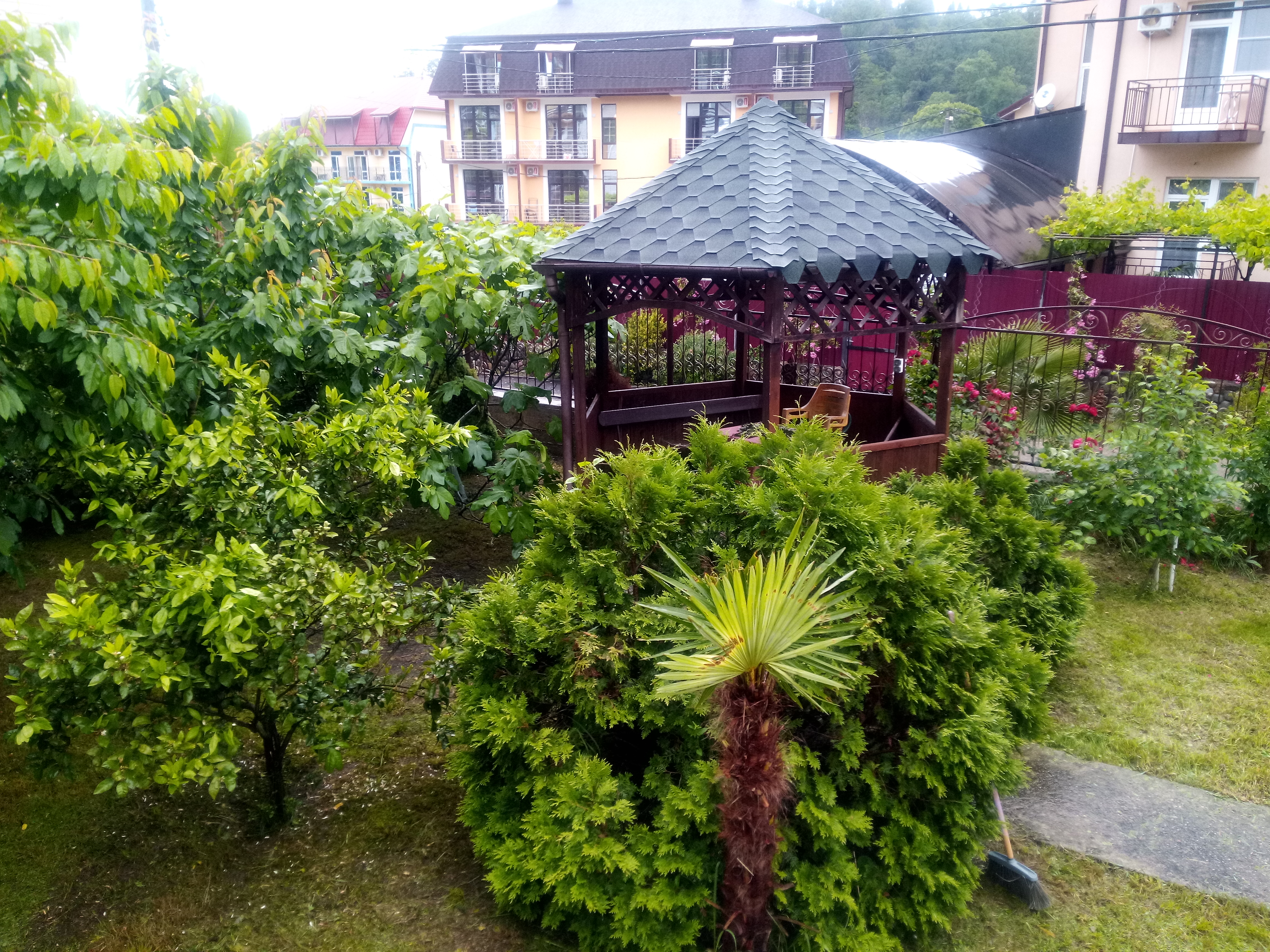 Фото Pearl of GrandLoo