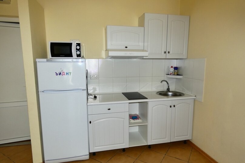 Астра - 9
