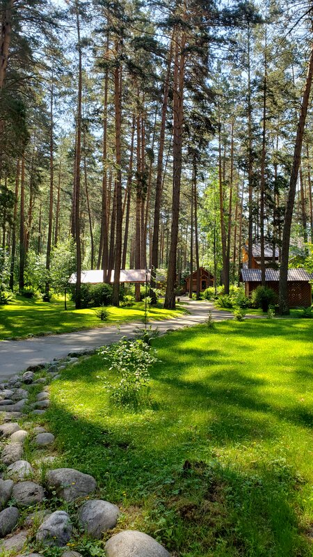 Орлиное гнездо — фото 31