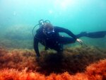Klad (Naberezhnaya ulitsa, 9), diving
