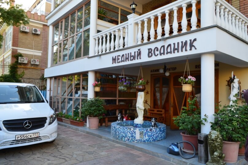 Фото Медный всадник