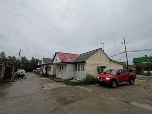 Түрлі позадағы жалаңаш әйелдердің жеке суреттері