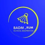 Badm_Rum school badminton (Universitetskiy Lane, 4), sports club