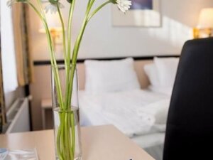 Гостиница Prinsen Hotel