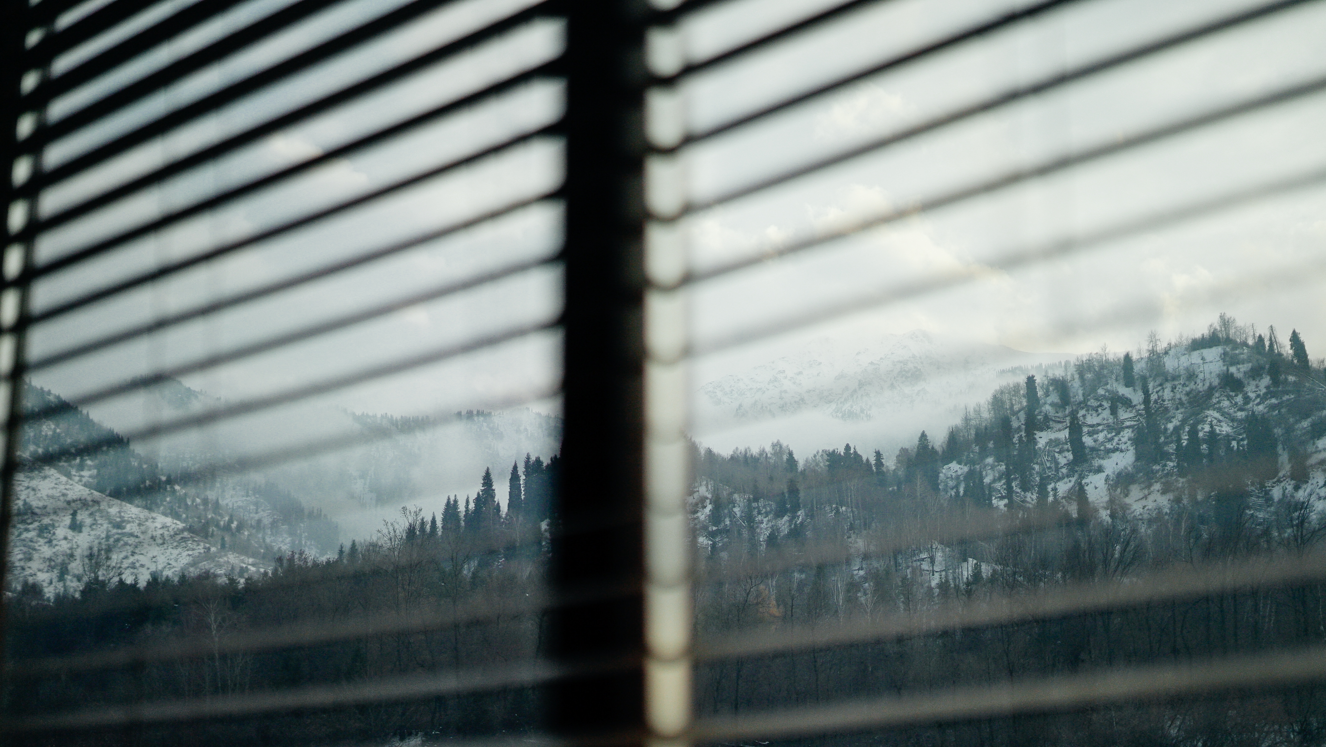 Фото Samal Resort & SPA