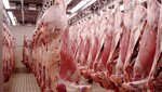 Germes (selo Krivtsy, 115), meat products wholesale