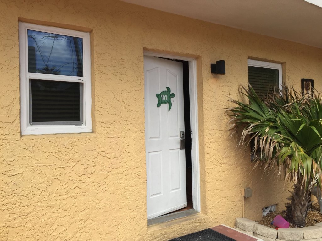 Фото Hollywood Beach Seagull