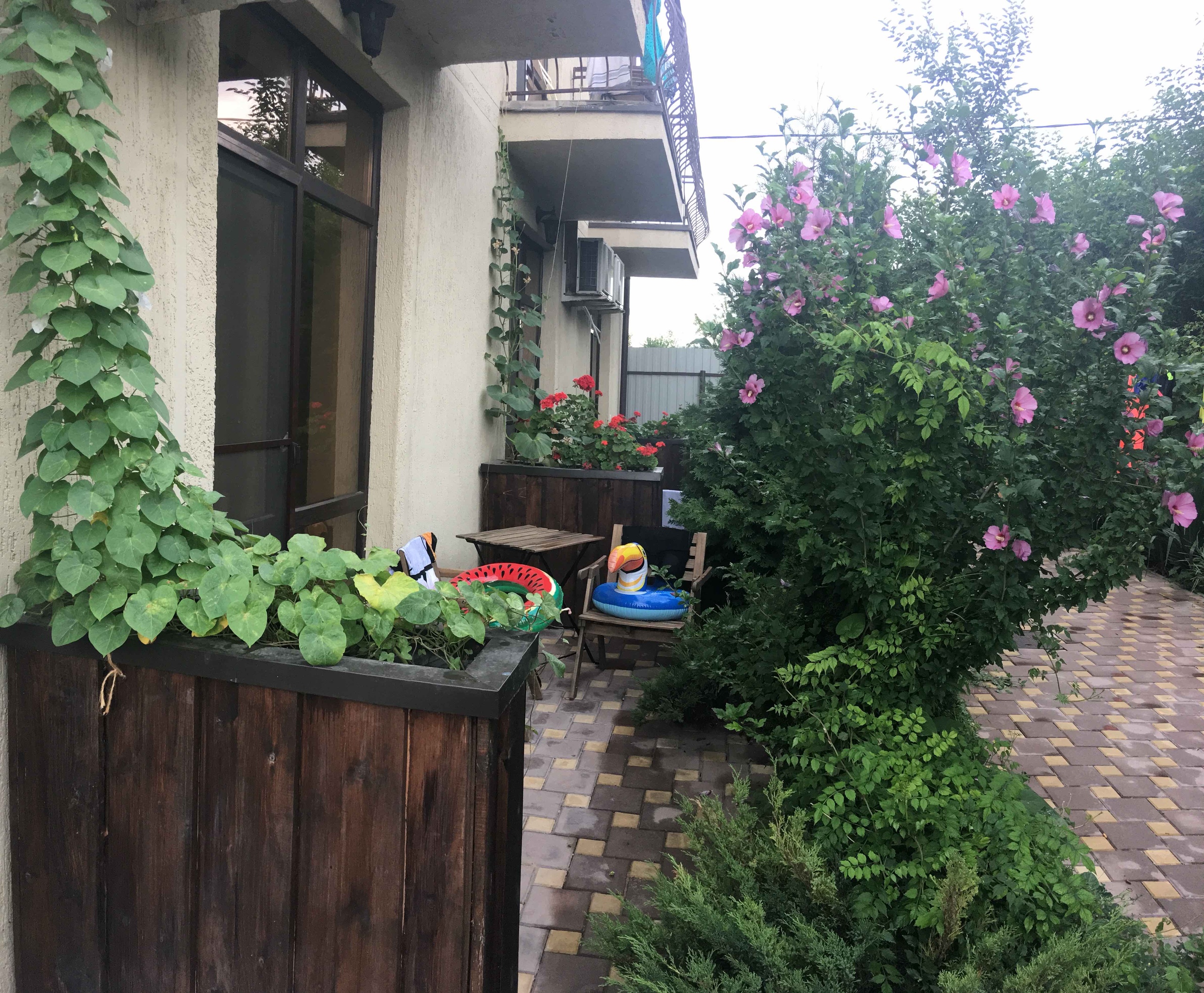 Фото Южный дом