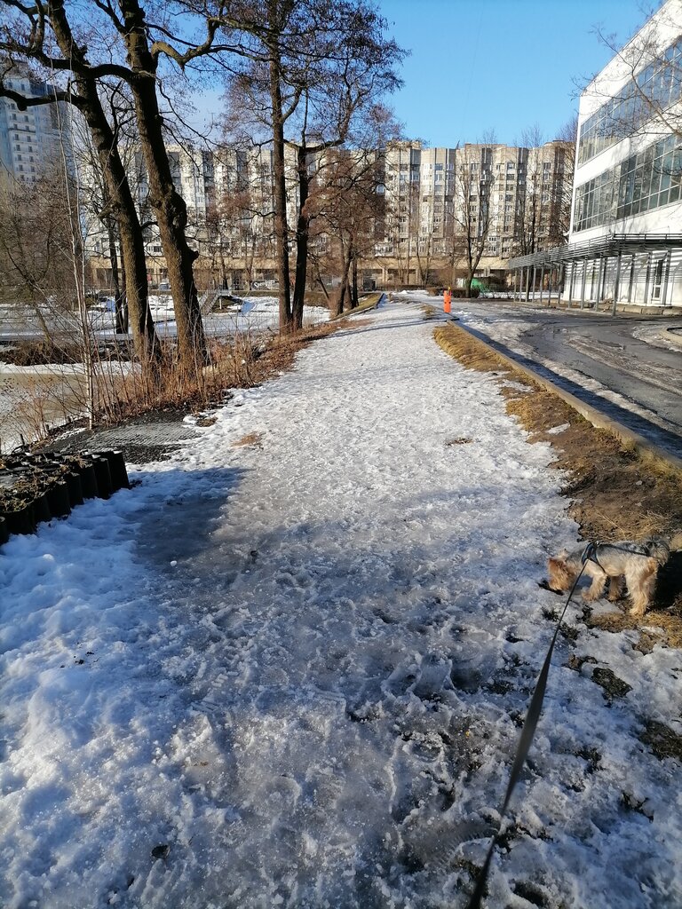 Жилой комплекс Галерный проезд, 5, Санкт‑Петербург, фото