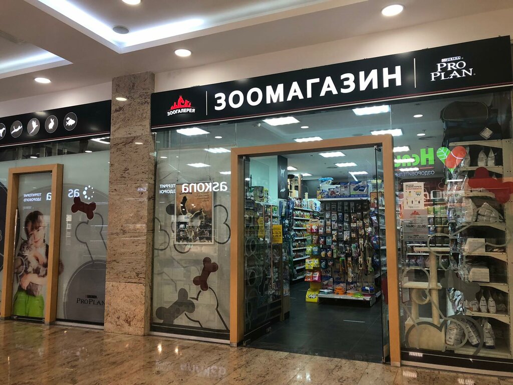 Зоогалерея Интернет Магазин Москва