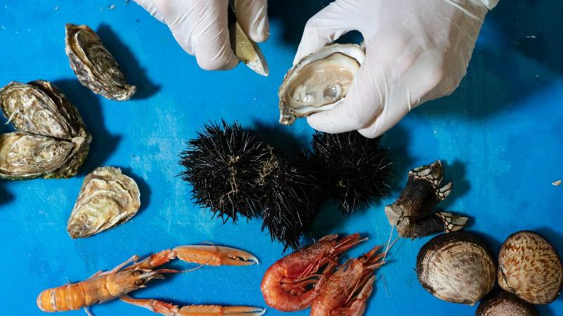 Фото Residenza Fontanelle