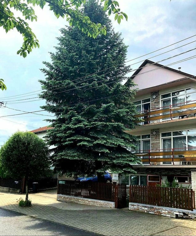 Апартаменты Apartment Rideg Hévíz
