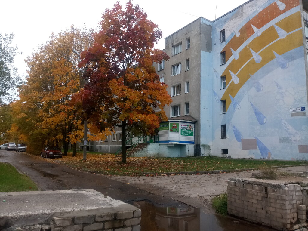 Seed shop Дачник, Udomlya, photo