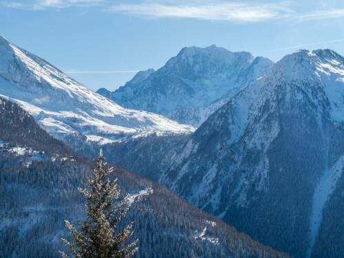 Гостиница Chalet Panorama