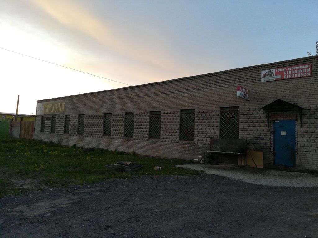 Gardening equipment repair Ремонт и обслуживание бензопилы бензокосы, Veliky Novgorod, photo