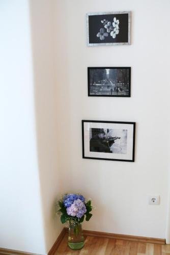 Фото Imperial Apartments