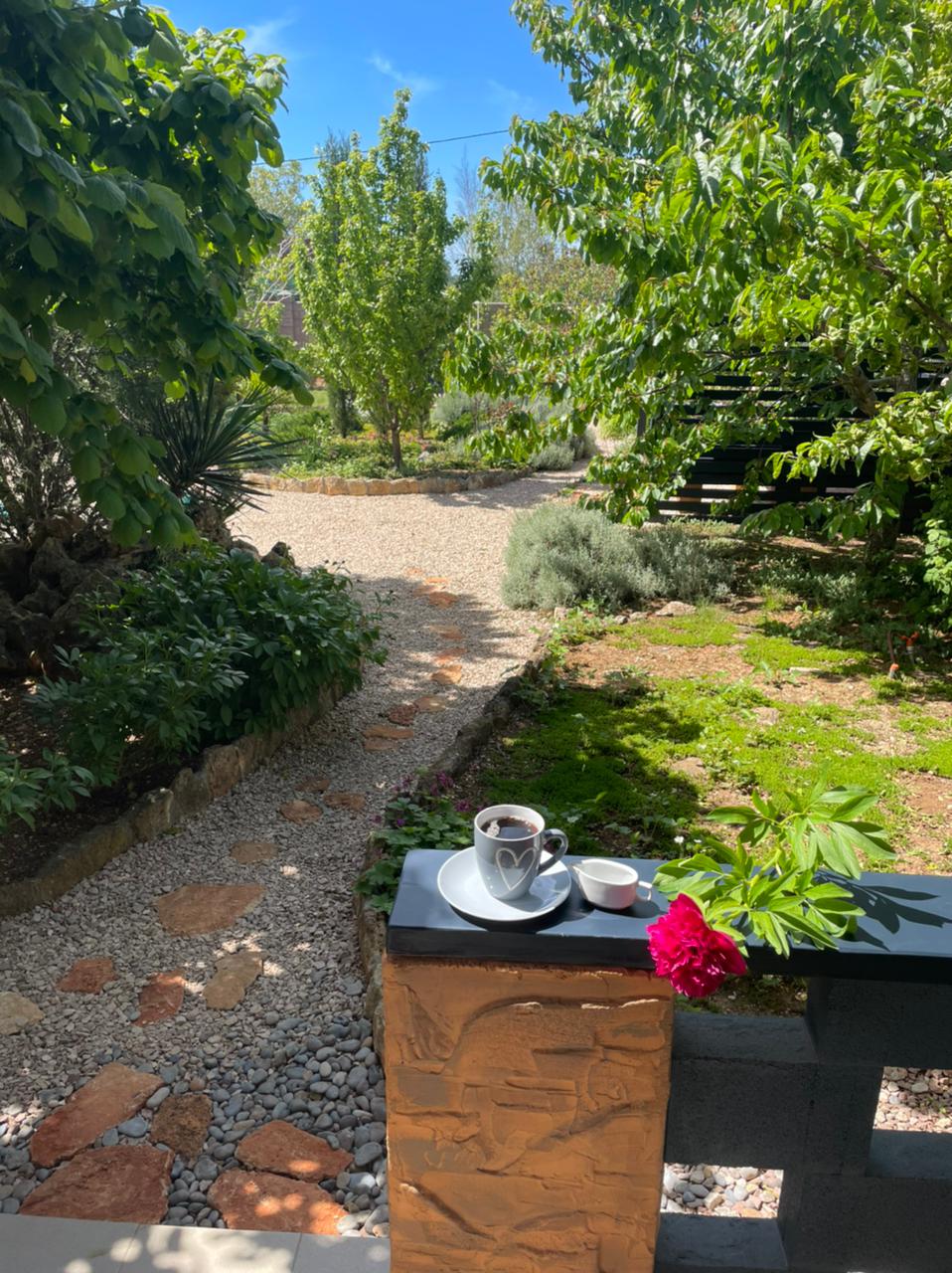 Фото Шардоне