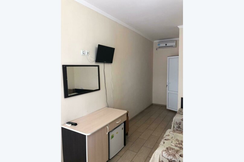 Фото Дельфин