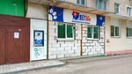 BetLife (Krivova Street, 57), veterinary clinic