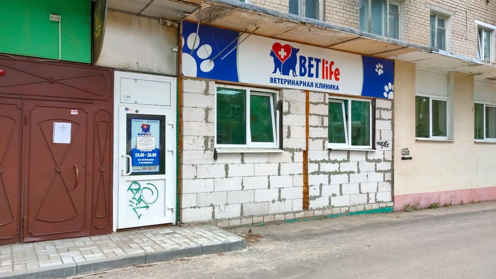 Veterinary clinic BetLife, Yaroslavl, photo