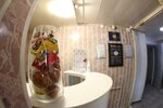 Adres Hostel (Nekrasova Street, 51), hotel